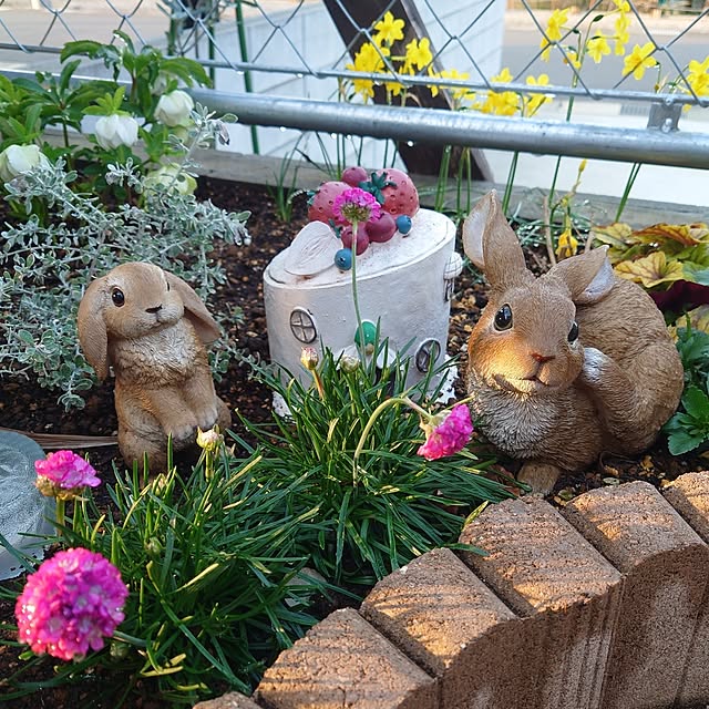 ponchanさんの実例写真