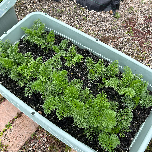 ritsukoさんの部屋