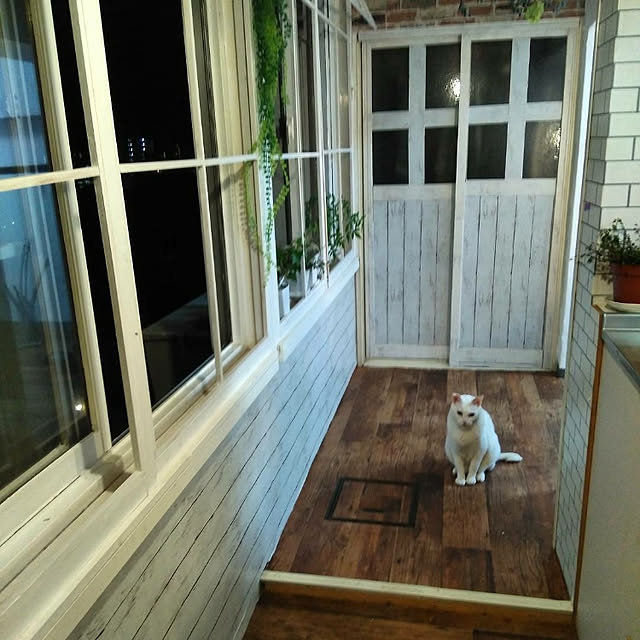 soraさんの実例写真