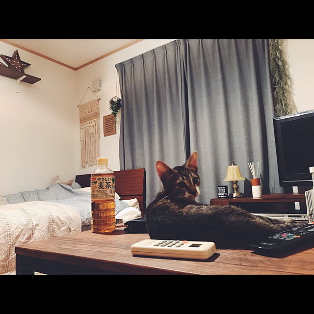 ayumiさんの実例写真