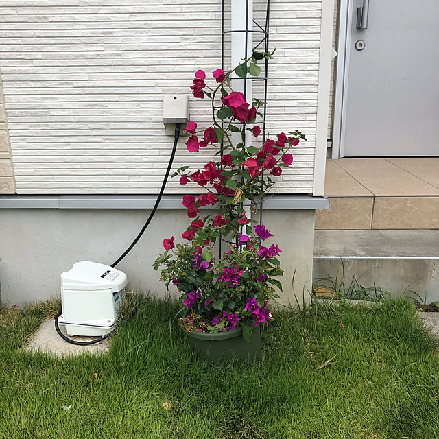 SAKさんの実例写真