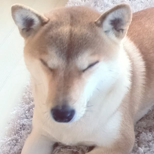 kさんの実例写真