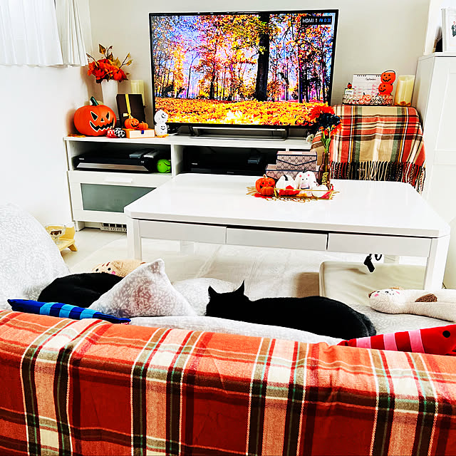 harukuumomiさんの実例写真
