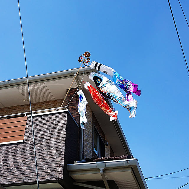 rinaさんの実例写真