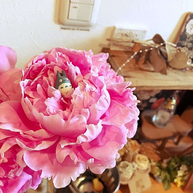 portulacaさんの実例写真