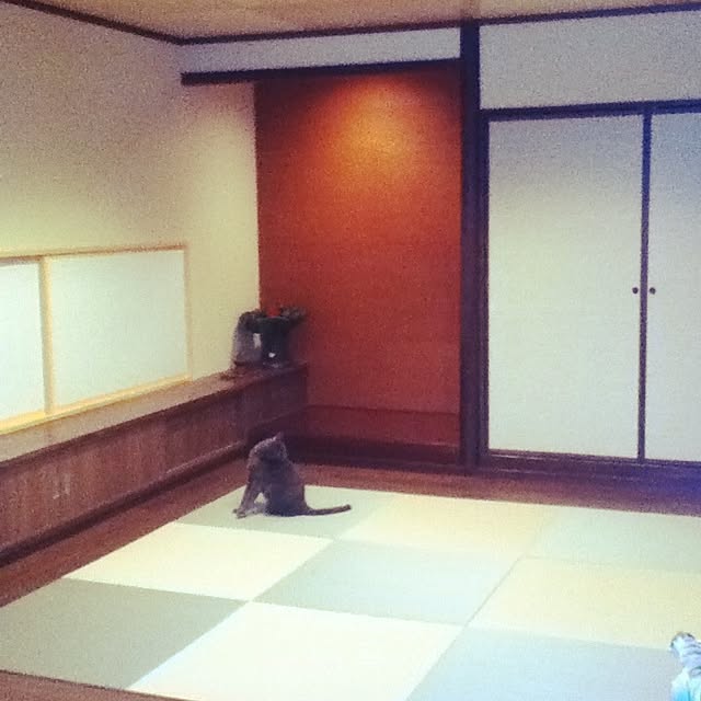lilasさんの実例写真