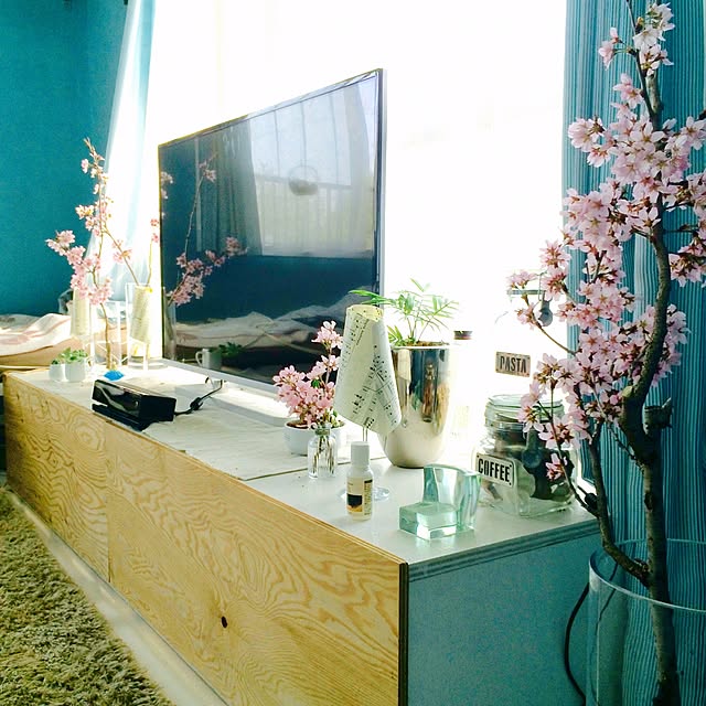 棚/植物のインテリア実例 - 2015-03-22 17:17:28