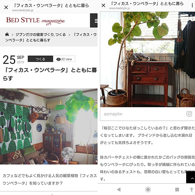 asmaさんの実例写真