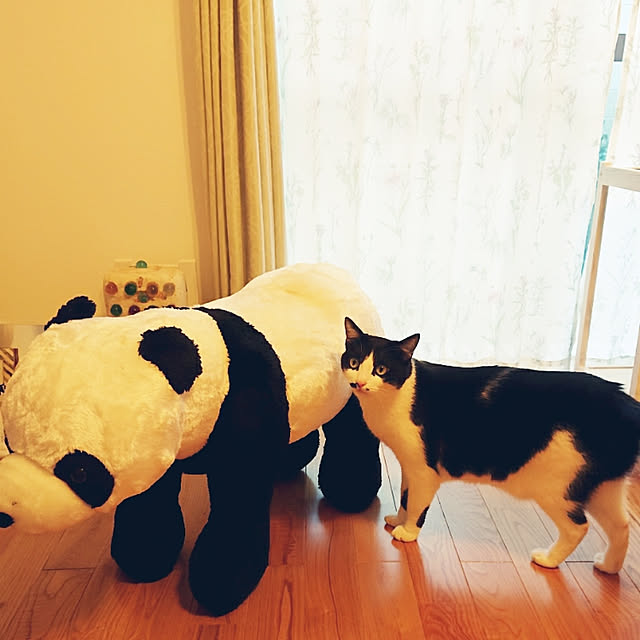 Mooさんの実例写真