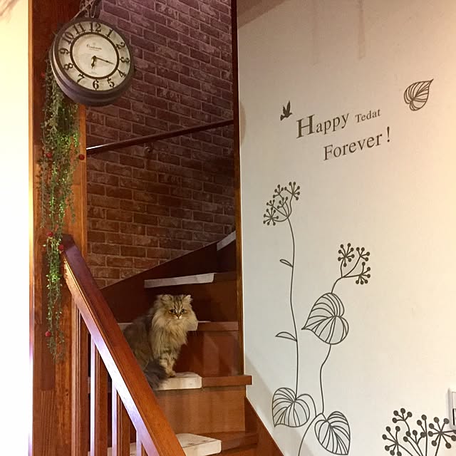 butachanさんの実例写真