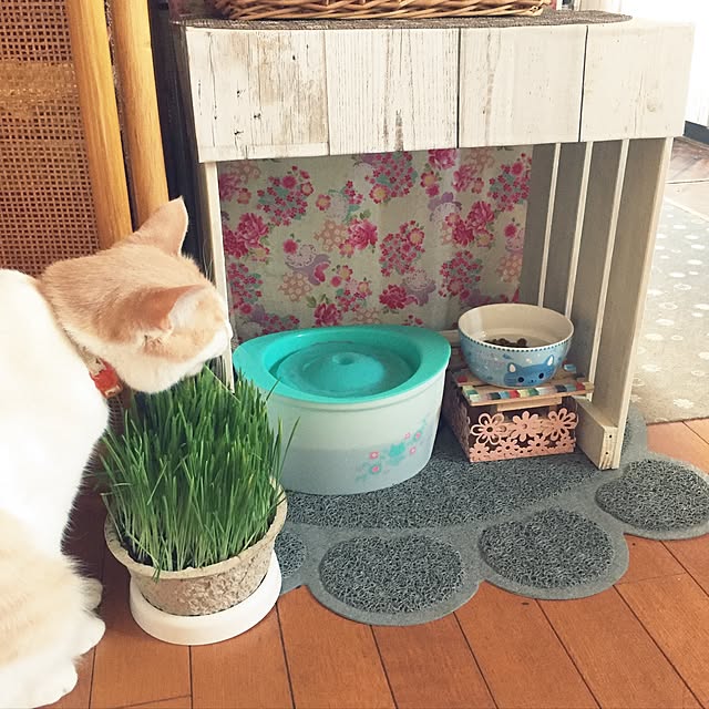 naworinさんの実例写真
