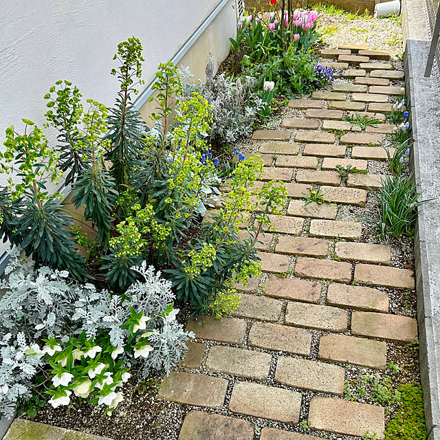 and.__.shuさんの実例写真