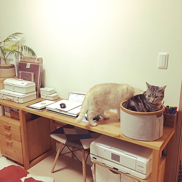 y.k.0123さんの実例写真