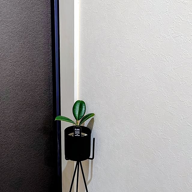 bary.minamiさんの部屋