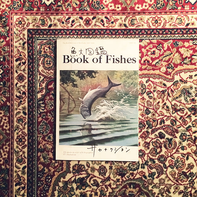 sakanaaaさんの実例写真