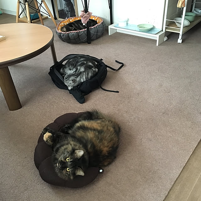 mikomaruさんの実例写真