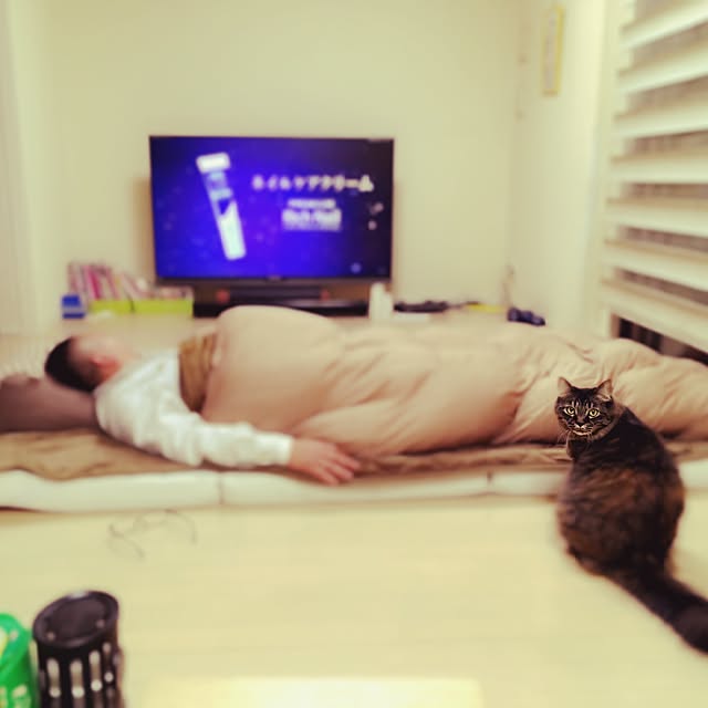 tajm93さんの実例写真