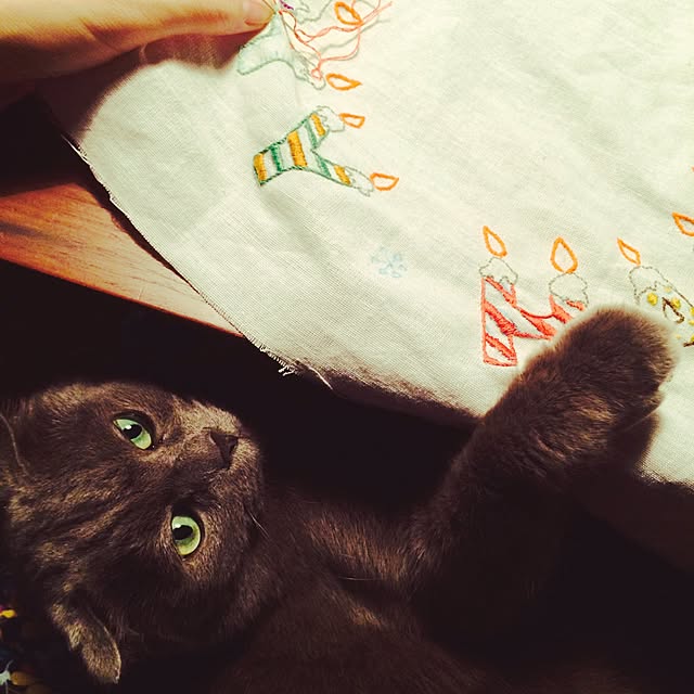 torinokoさんの実例写真