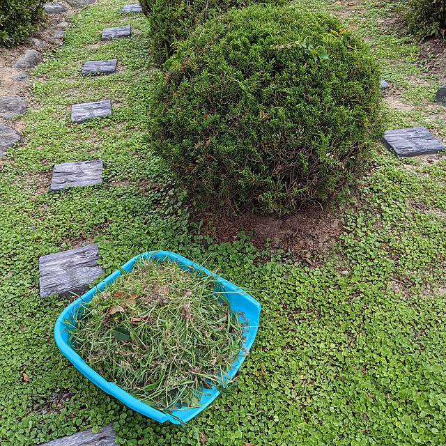 chiibou5223さんの実例写真