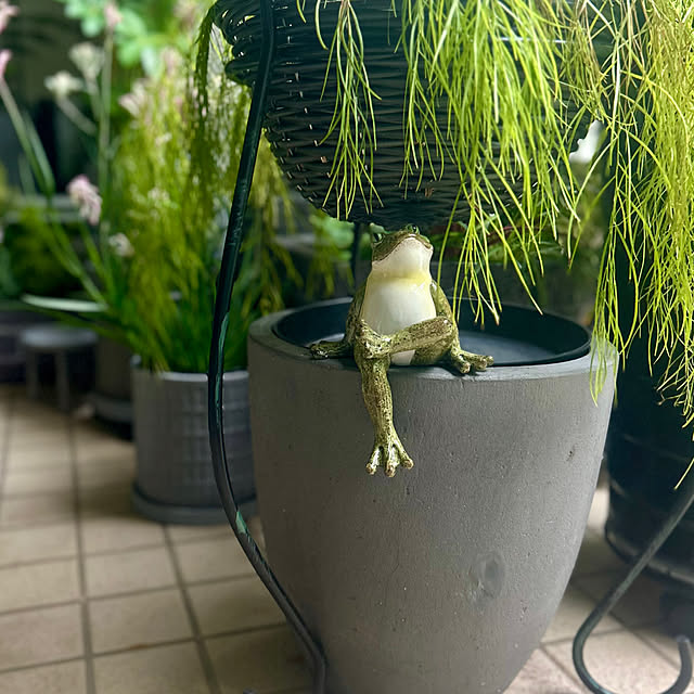 DAYONEさんの実例写真
