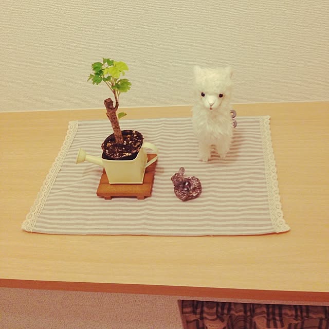 megさんの実例写真