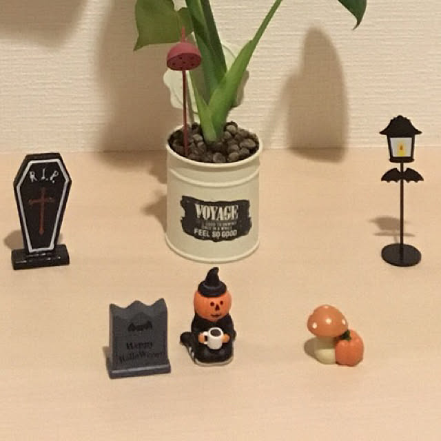 Y.Sさんの実例写真