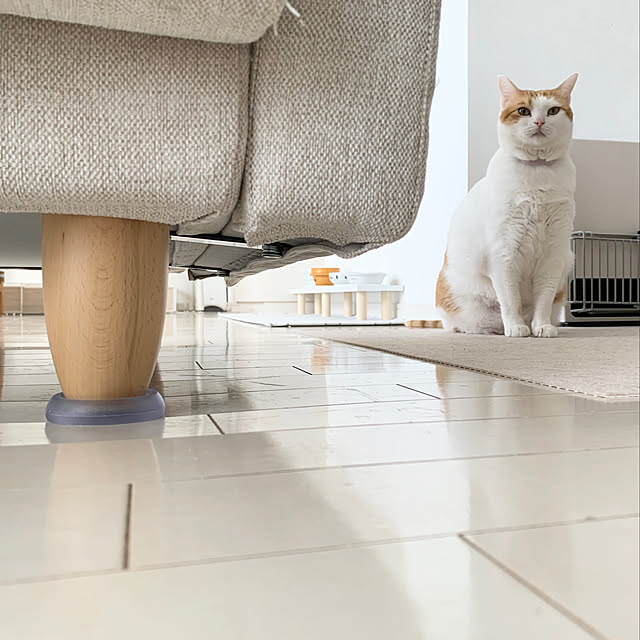 bikkeさんの実例写真