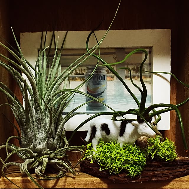 achiroomさんの実例写真