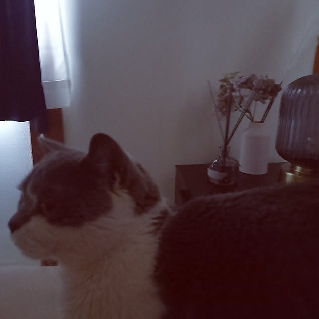 rhuさんの実例写真