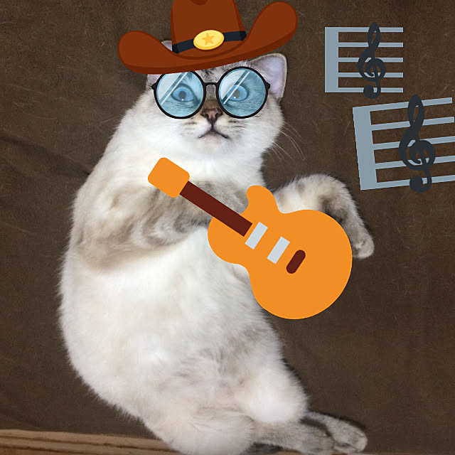 nachuさんの実例写真