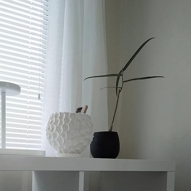 muuuuu-24さんの部屋