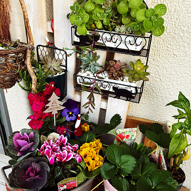 syutmmさんの部屋