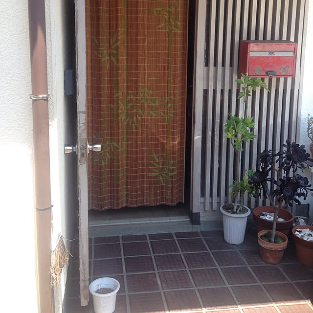 aoinokimiさんの実例写真