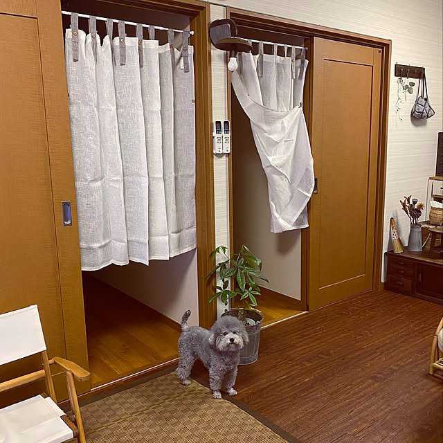 meguko.ryanさんの実例写真