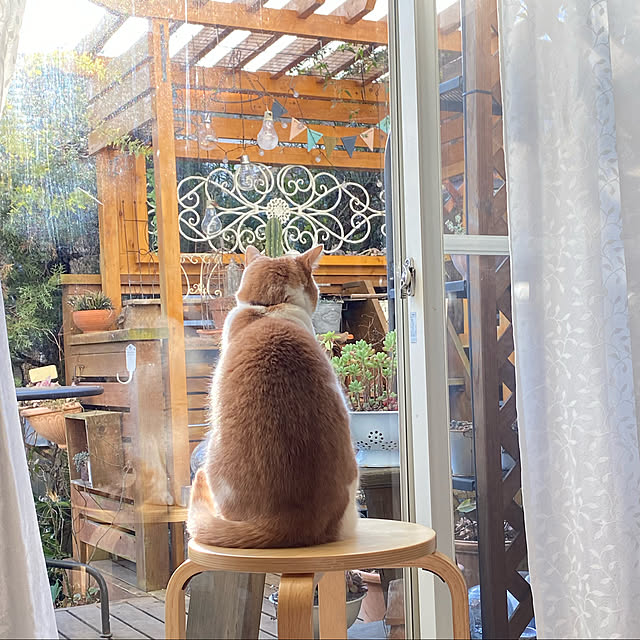 mintteaさんの実例写真