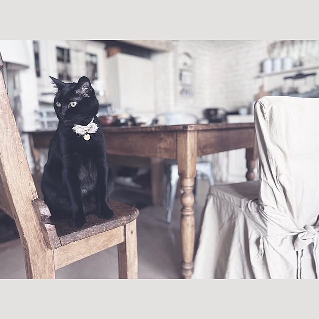 ataさんの実例写真