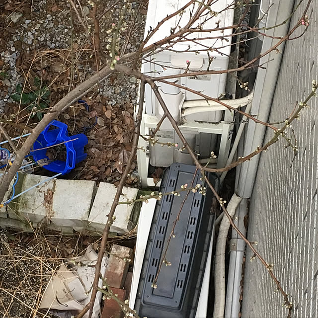 luckyさんの実例写真