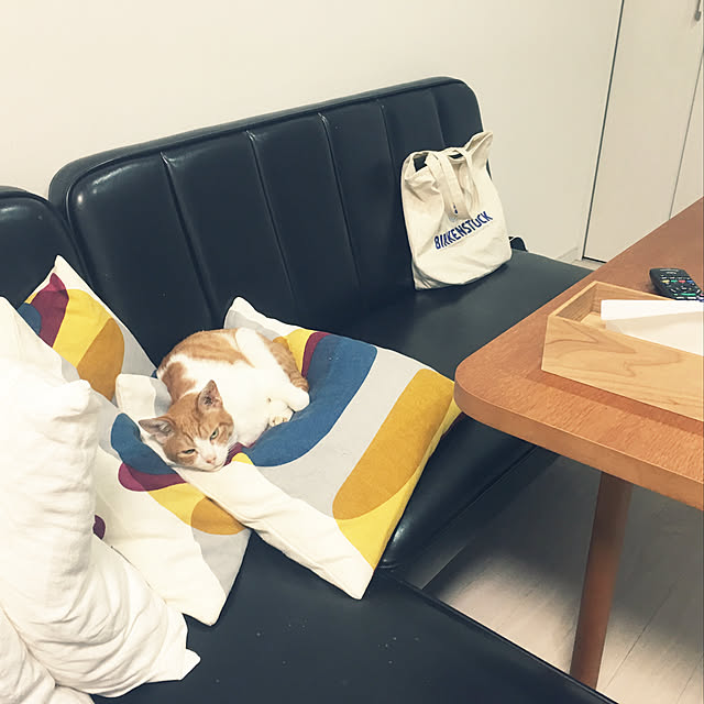 Hirokoさんの実例写真