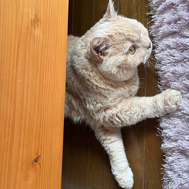 naokoさんの部屋