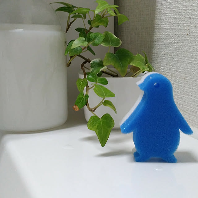 kotaro385さんの実例写真
