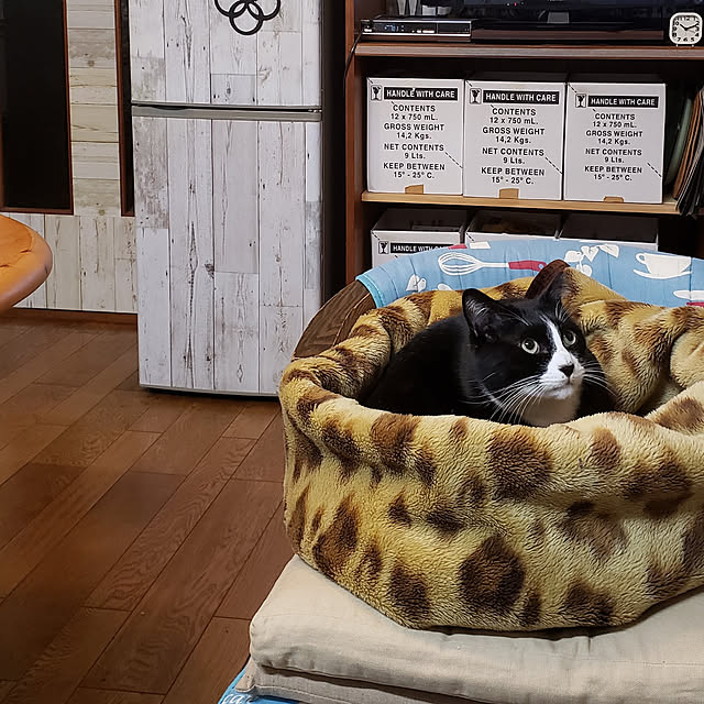 Mayumi8888さんの実例写真
