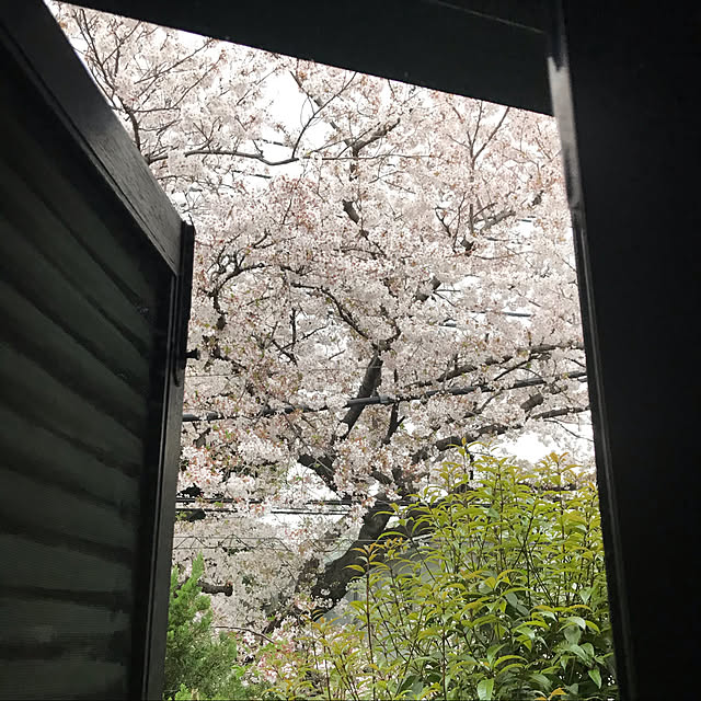 masakoさんの実例写真
