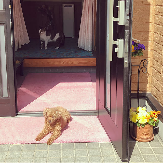 haruminさんの実例写真