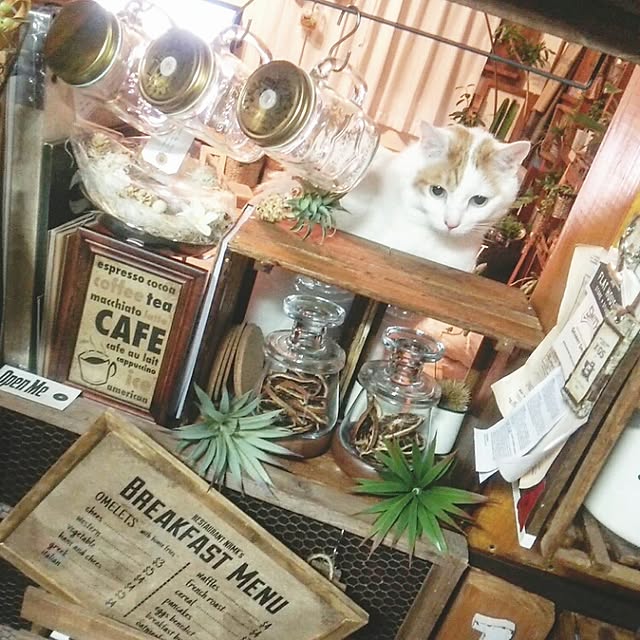 ugさんの実例写真