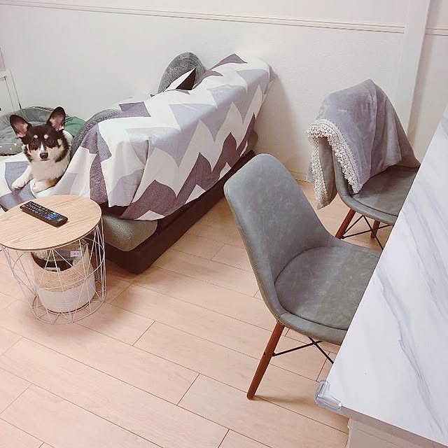 Ruiさんの実例写真