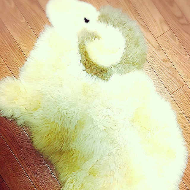 Hiromiさんの実例写真