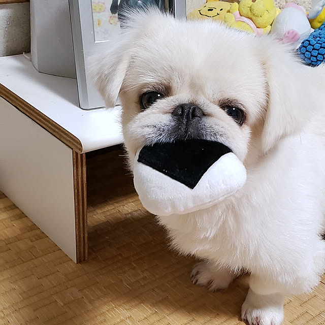 RINENさんの実例写真