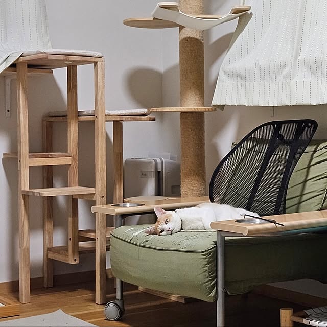 koyurizuさんの部屋