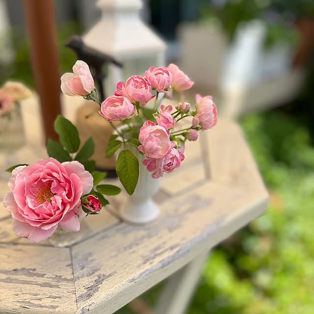 sakuraさんの部屋