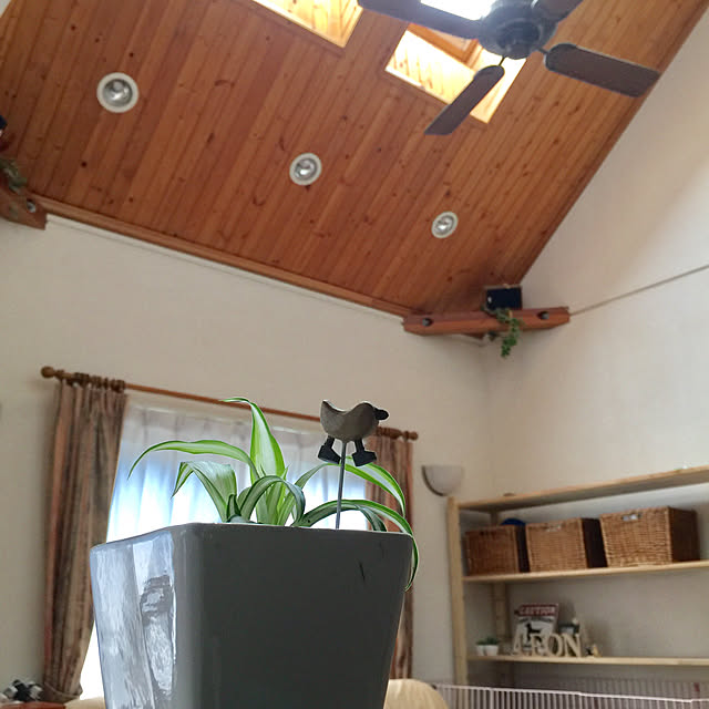 tomoさんの実例写真